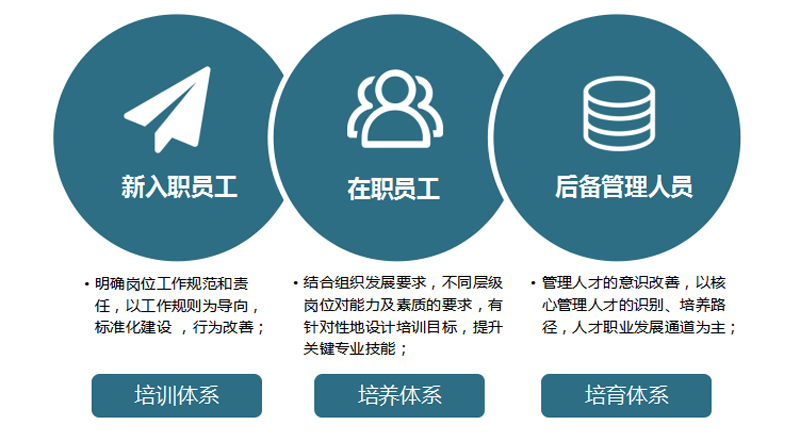 不同類型培訓體系