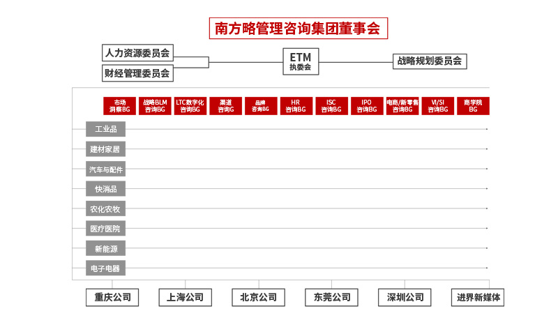 南方略咨詢集團組織架構(gòu)